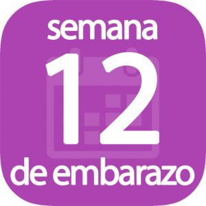 Pin De Calculadoraconversor En Calculadoras De Embarazo Calculadora De Embarazo Embarazo Bebe