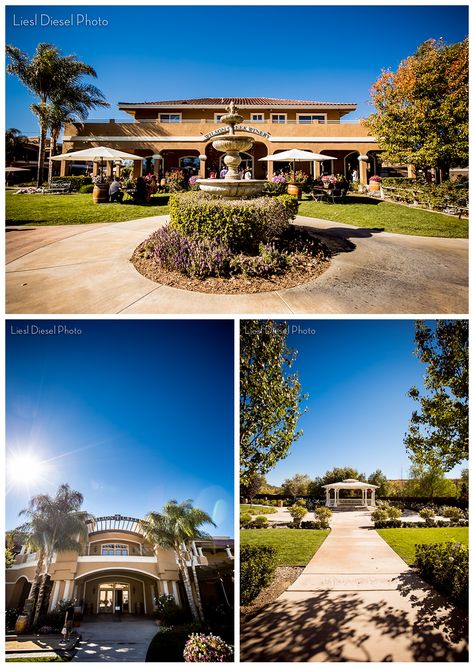 Shades Of Purple Wedding Photography Wilson Creek Winery Shades Of Purple Wedding Photography Wilson Creek Winery Temecula Pinterest And Weddings