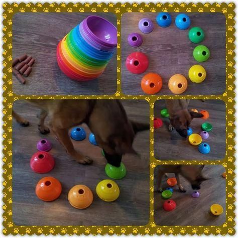Familiar Dogs Paw Dogsindia Accessoriesdogdiycarseats Diy Dog