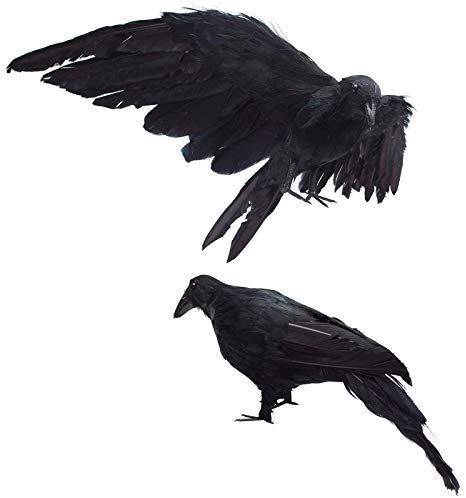 1pcs Artificial Pe Jet Black Flocked Crow Outdoor Hunting Decoys Plastic Garden Decoration Ornaments Sports Entertainment Hunting Hunting Stands Crow Hunting