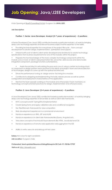 We Are Hiring AngularJS Developer (2+ years of experience), Job - programmer job description We Are Hiring AngularJS Developer (2+ years of experience), Job - programmer job description
