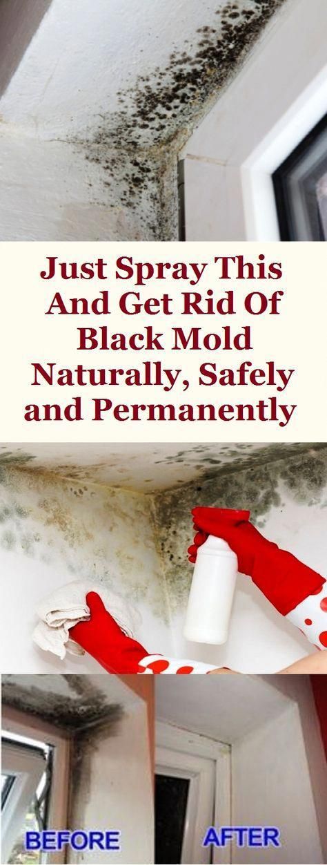 Bathroom Mold Woods Bathroommoldfloor Bathroommoldessentialoils Mold In Bathroom Clean Black Mold House Cleaning Tips