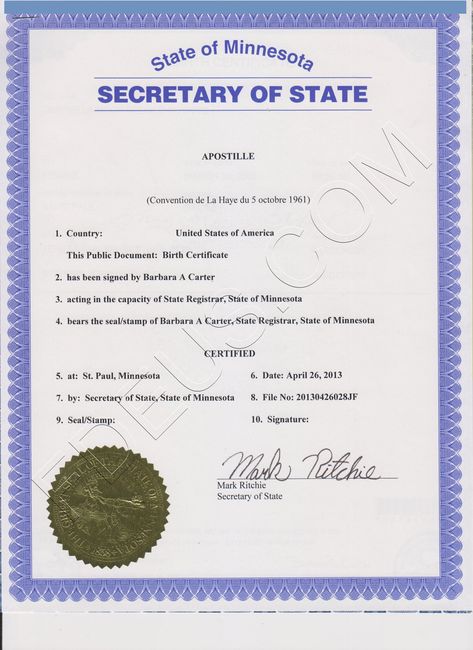 Minnesota apostilleMinnesota apostille is a seal that will make - blank divorce decree Minnesota apostilleMinnesota apostille is a seal that will make - blank divorce decree