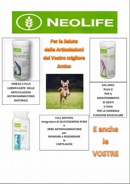 dieta vegetariana per i pazienti con osteoartrite dieta vegetariana per i pazienti con osteoartrite