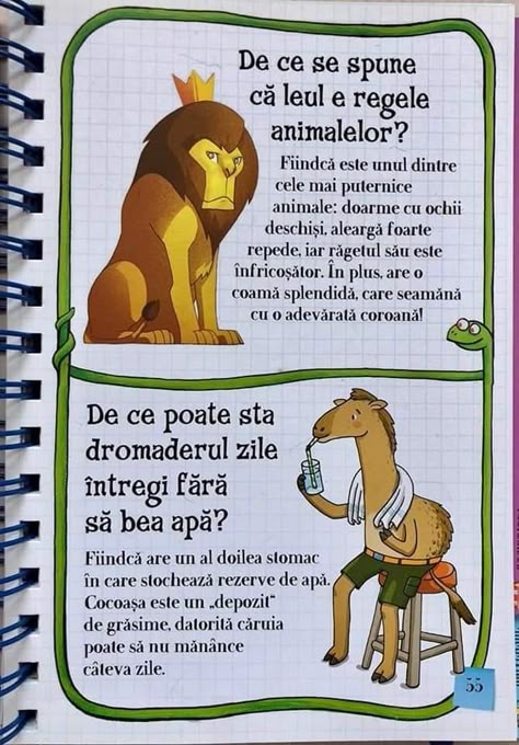 industria globală de scădere în greutate
