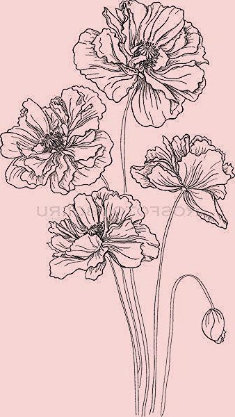 Zeichnungen Bleistift Ideen Zeichnungen Zeichnung Bleistift Blumen