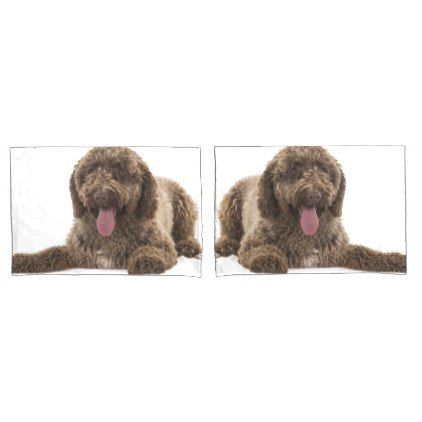 Pillowcase In Spanish Stunning Spanish Water Dog Pillowcase Pinterest Spanish Water Dog Pillowcase In Spanish Stunning Spanish Water Dog Pillowcase Pinterest Spanish Water Dog