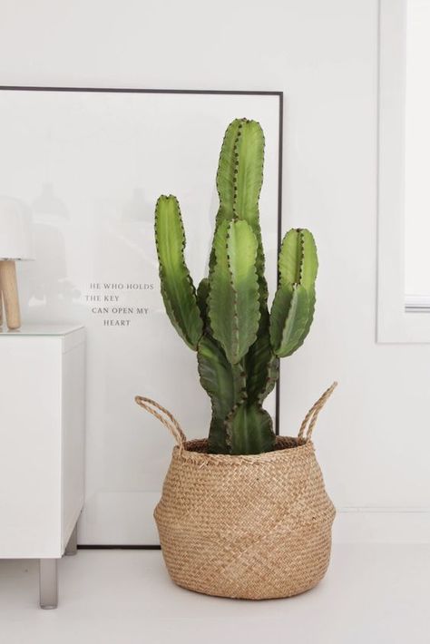 14 ideeën over Pap en mams slaapkamer | slaapkamer ...