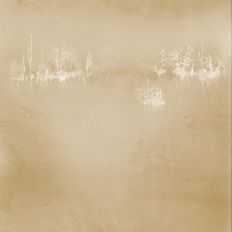 Perroquets Art Imprimer L Aquarelle Oiseaux D Amour Peinture Jaune