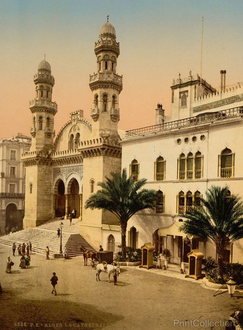 Palais D Hiver Du Gouverneur Et La Cathedrale Algiers Algeria