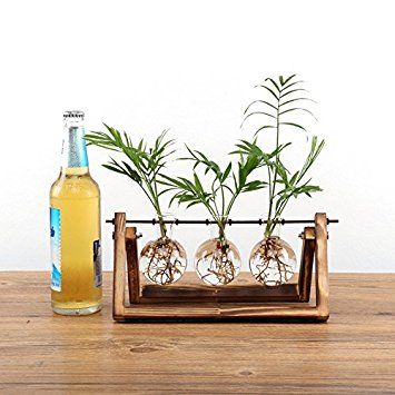 Ivolador Desktop Glass Plants Bulb Terrarium with Retro Solid Wooden Stand and Metal Swivel Holder for Hydroponics Plants Home Garden Wedding Decor 3 Bulb Vase Ivolador Desktop Glass Plants Bulb Terrarium with Retro Solid Wooden Stand and Metal Swivel Holder for Hydroponics Plants Home Garden Wedding Decor 3 Bulb Vase