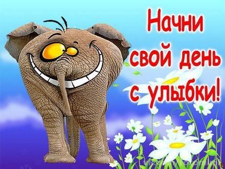 Улыбка Фото Картинки Прикольные Улыбка Фото Картинки Прикольные