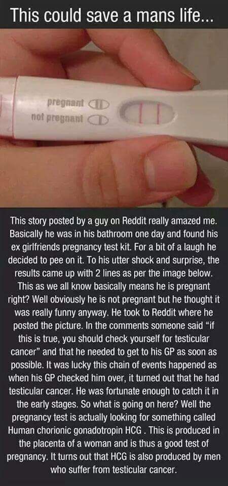 pregnancy test prostate cancer