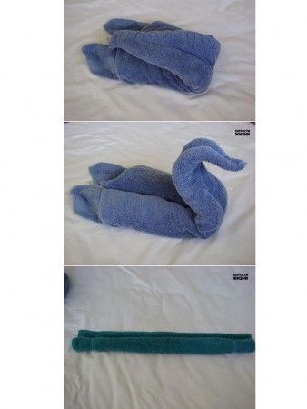 Como Hacer Figuras Con Toallas Paso A Paso Animales De Toalla Toallas Origami Con Toalla Como Hacer Figuras Con Toallas