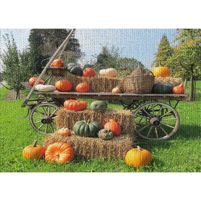 East Urban Home Pumpkins Cotton Green Area Rug Rug Size Rectangle 4 X 6 Green Area Rugs Outdoor Halloween Halloween Outdoor Decorations