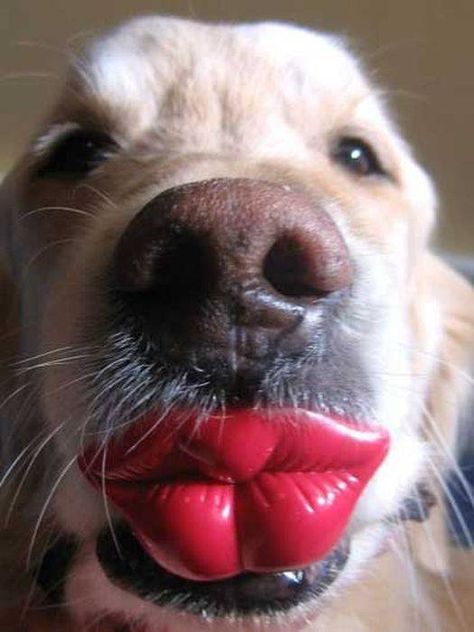Keess Me Bebe Bring Your Ruby Red Lips Close To Mine Ahh I