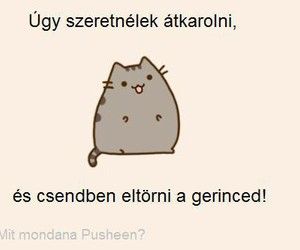 a farka egyenes