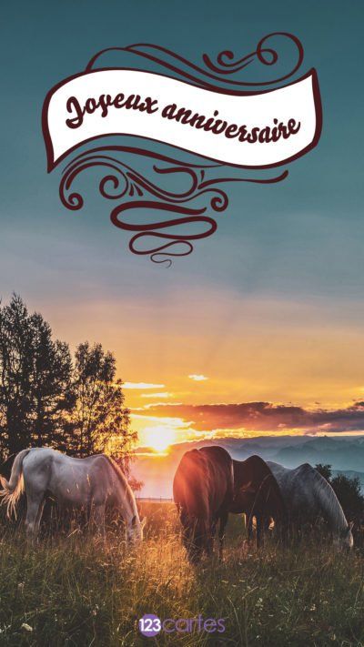 Lagon Bleu 123cartes Carte Anniversaire Cheval Carte Anniversaire Carte Joyeux Anniversaire Lagon Bleu 123cartes Carte Anniversaire Cheval Carte Anniversaire Carte Joyeux Anniversaire