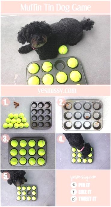 Dog Training Glove Dog Training To Protect Dog Training 53066