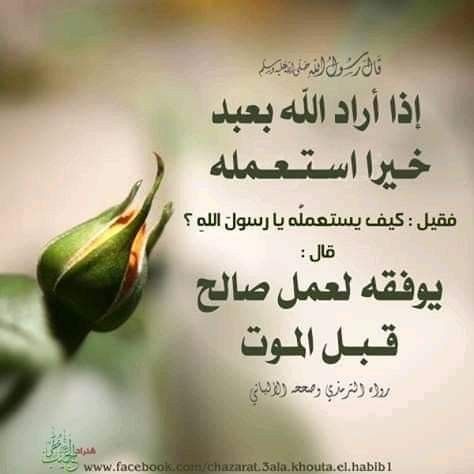 Pin By Dr Zohair Bahumdain On إسلاميات Ahadith Islam Learning