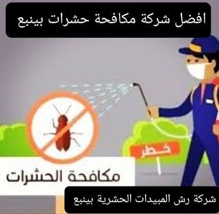 افضل شركة مكافحة حشرات بينبع 0560090968 شركة رش مبيدات بينبع مكافحة الحشرات فئران صراصير بق الفراش