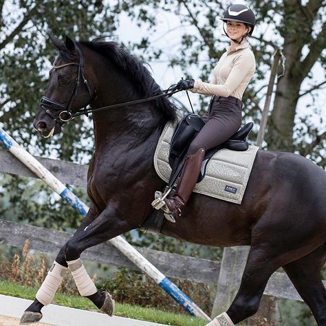 Polo bruin lak | Derby | Grandeur Ruitersport & Lifestyle Polo bruin lak | Derby | Grandeur Ruitersport & Lifestyle