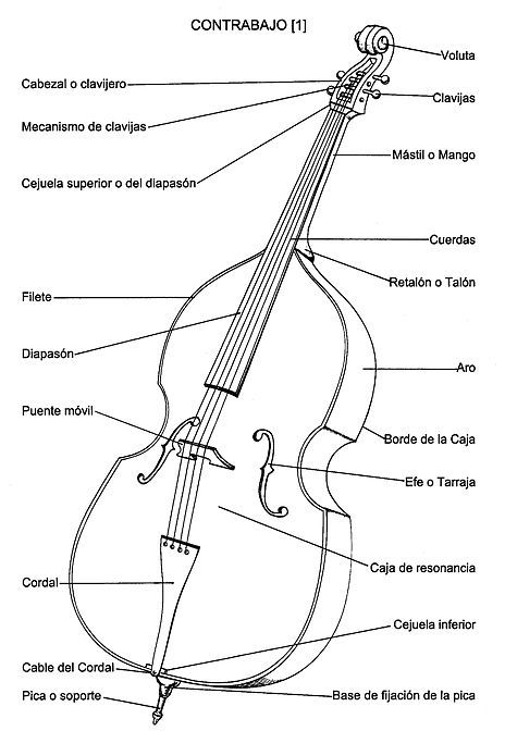 100 Ideas De Instrumentos 1 Instrumentos Musicales Instrumentos Musicales