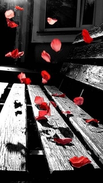 Pin by melissa steed on beautiful black white with a little color 2 pinterest colour splash Pin by melissa steed on beautiful black white with a little color 2 pinterest colour splash