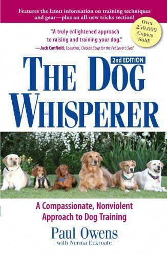 Most Important Dog Training Tip Become The Pack Leader With
