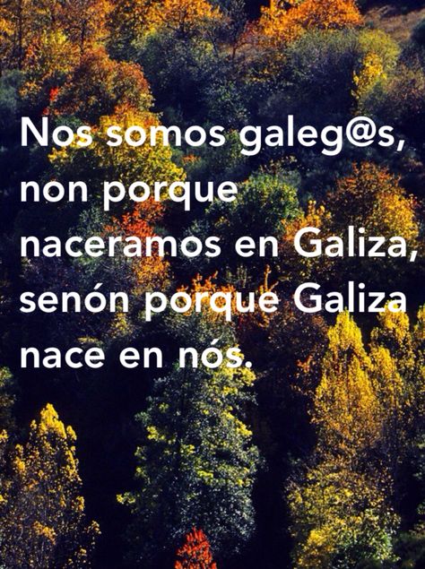 120 Ideas De Carteles Frases Gallegas Palabras