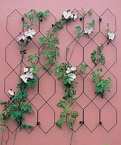 outdoor lattice wall decor outdoor lattice wall decor