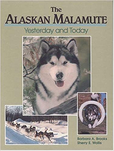 The Alaskan Malamute Yesterday And Today Barbara A Brooks