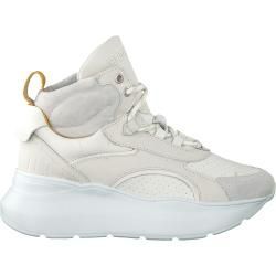 vans beige hoch vans beige hoch
