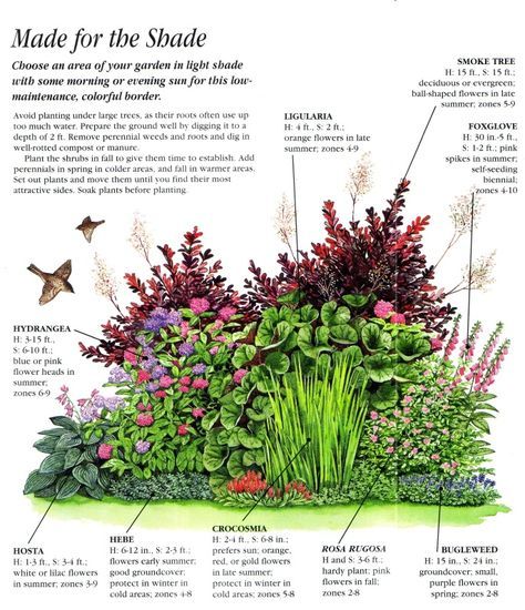 Shade Garden Backyard Diy Design Shade Garden Backyard Diy, How To Prepare A Perennial Garden For Winter