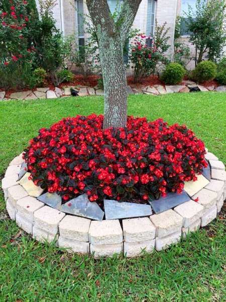 22 Beautiful Flower Beds Around Trees Landscaping 22 Beautiful Flower Beds Around Trees Landscaping