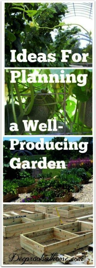Urban Gardening For Beginners Nor Ideas In The Philippines Begin Garden Advice Gardening For Beginners Urban Garden, Urban Gardening Ideas Philippines