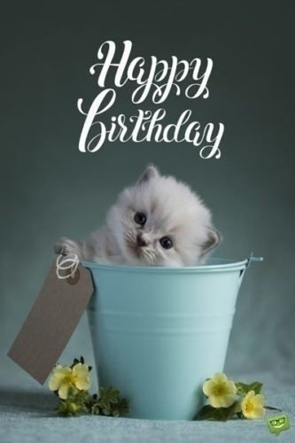 Pin By Etheve Marie On Gluckwunsche Happy Birthday Wishes Cards Happy Birthday Greetings Friends Inspirational Birthday Wishes