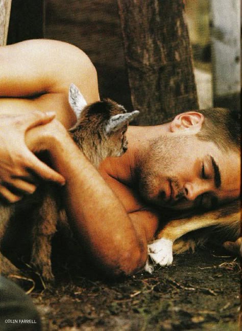 https://i.pinimg.com/474x/c6/a6/12/c6a6126e615bd6dc2a3be1a698621f81--baby-goats-colin-farrell.jpg