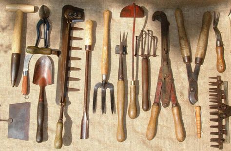Essential Gardening Tools and Supplies Off the Grid Living - gardine für küche Essential Gardening Tools and Supplies Off the Grid Living - gardine für küche