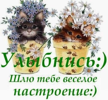 Фото Для Настроения Мужчине Прикольные Фото Для Настроения Мужчине Прикольные