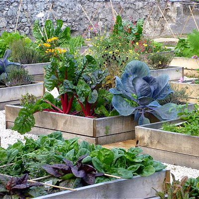 How To Make Terrace Vegetable Garden Complete Tutorial Terraced Layout Indoor Gardening How To Make Terrace Vegetable Garden, How To Start A Terrace Vegetable Garden