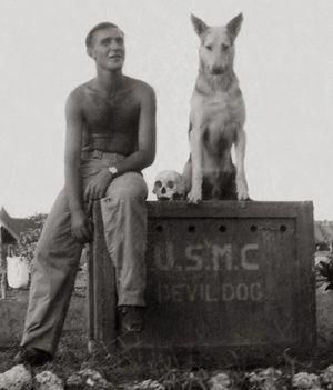More About The Fearless Doberman Pinschers Pups Grooming