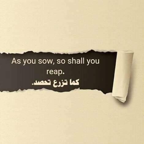 Pin By Body Mody On English Words English Words Learn English Words