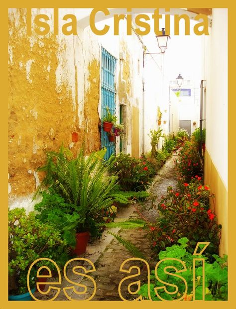 89 Ideas De Isla Cristina Islas Andalucía Andalucia España