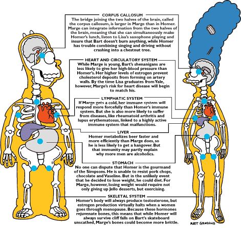 Bajos niveles de vitamina D y calambres musculares