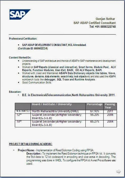 biodata format in word document Beautiful Excellent Professional - functional architect sample resume biodata format in word document Beautiful Excellent Professional - functional architect sample resume