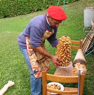 Barbecue Et Tourne Broche Barbecue Et Tourne Broche