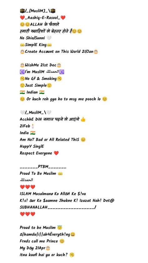 Islamic Bio For Facebook 973-best-instagram-bio-for-boys-attitude-love-2023-cool-bio