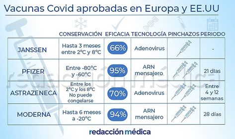 Bacterias Hongos Virus