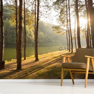 Removable Peel /& Stick Mural Autumn Forest WALL MURAL Sunrise Wall Decor Large Mural Forest Morning Wall Mural Poster Forest Wallpaper